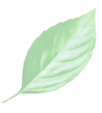shape